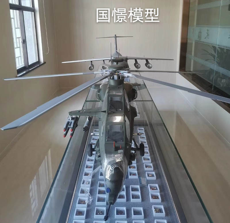 武山县飞机模型