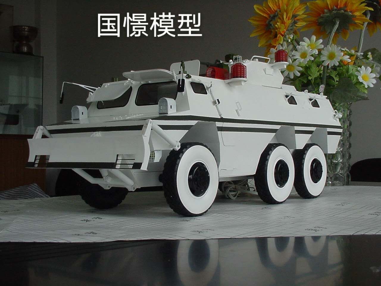 武山县军事模型