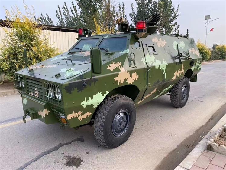 武山县军事模型